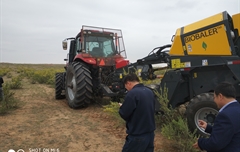 2019年，內(nèi)蒙奈吉牧草有限公司，采購一臺Anderson檸條平茬機